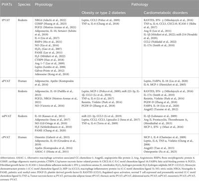 Cross-talks between perivascular adipose tissue and neighbors: multifaceted nature of nereids